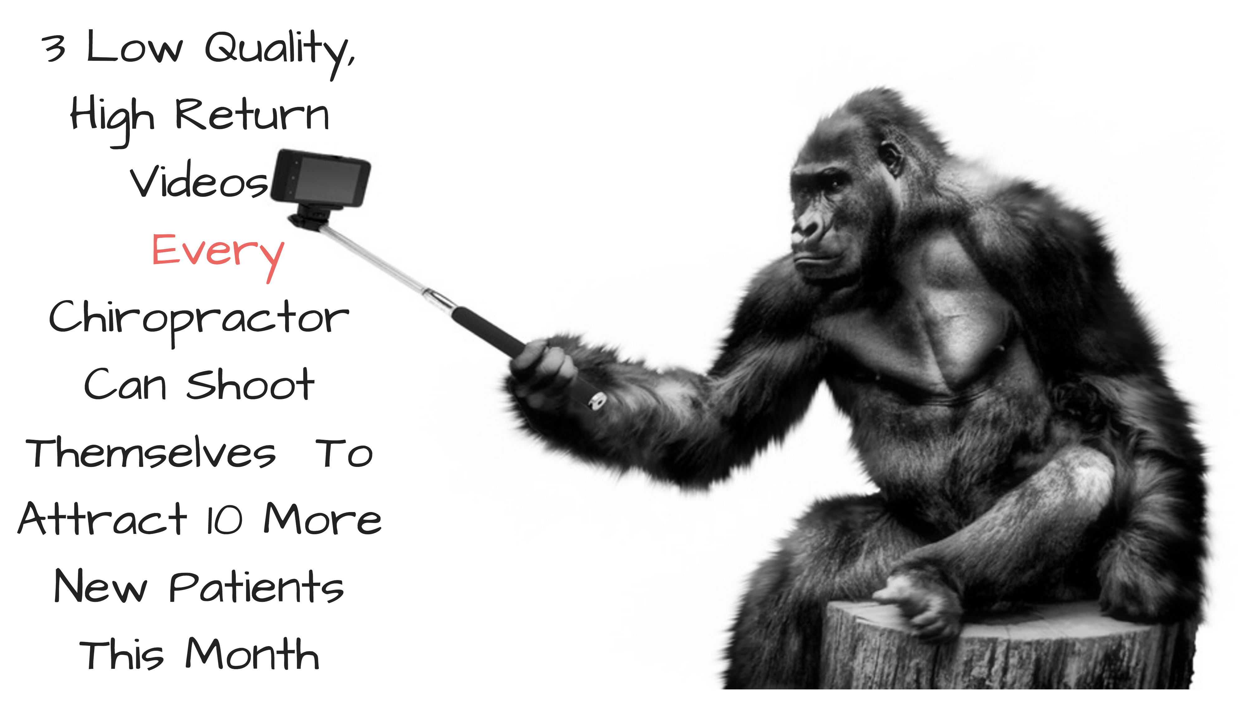 Screen-Shot-2016-10-29-at-10.45.16-AM