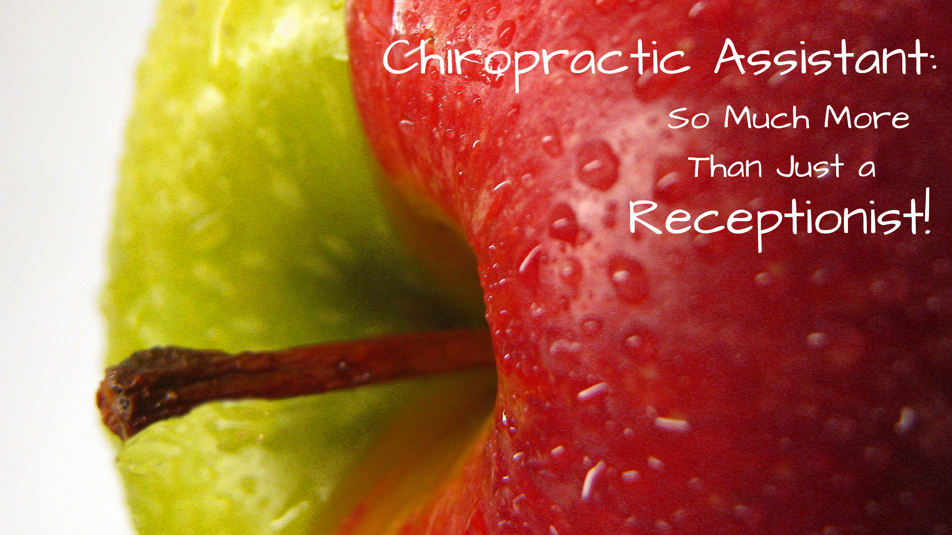 Chiropractic-Assistant