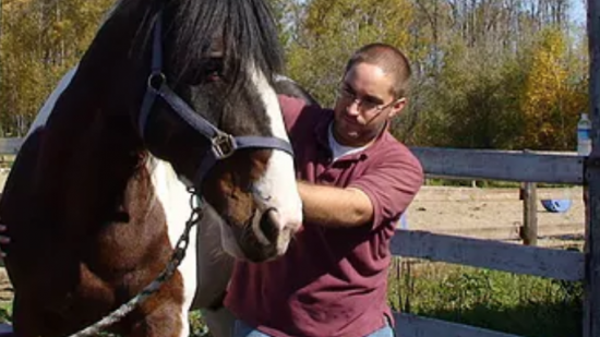dr noam teplitsky1