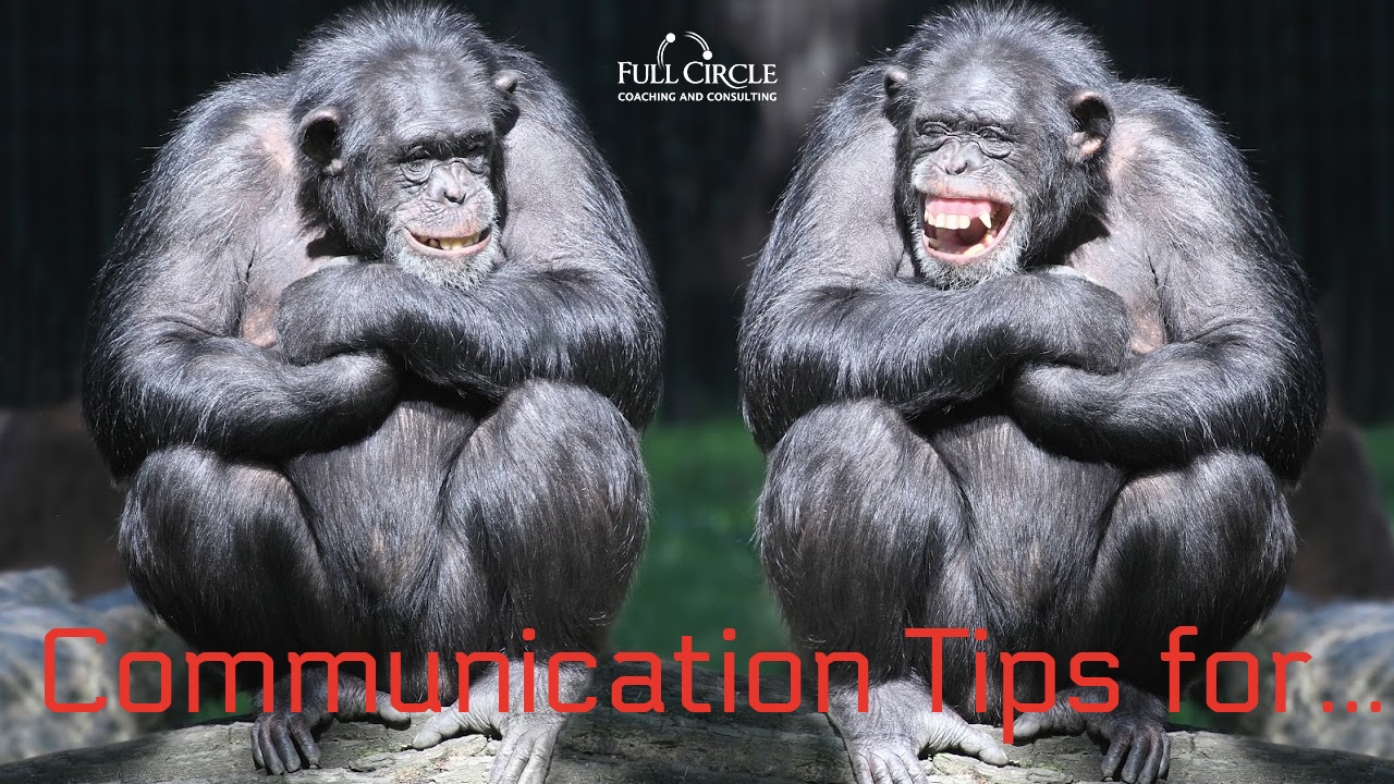 Communication tips for Dummies