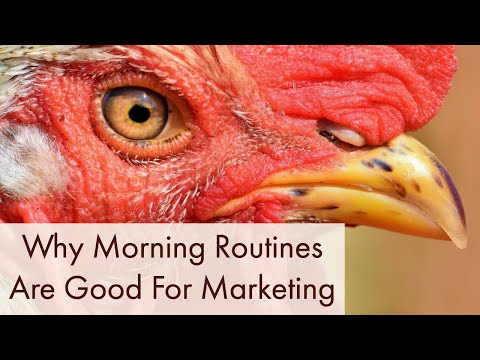 Cultivating A Caring Sales Attitude – Why Morning Routines Are Good For Marketing