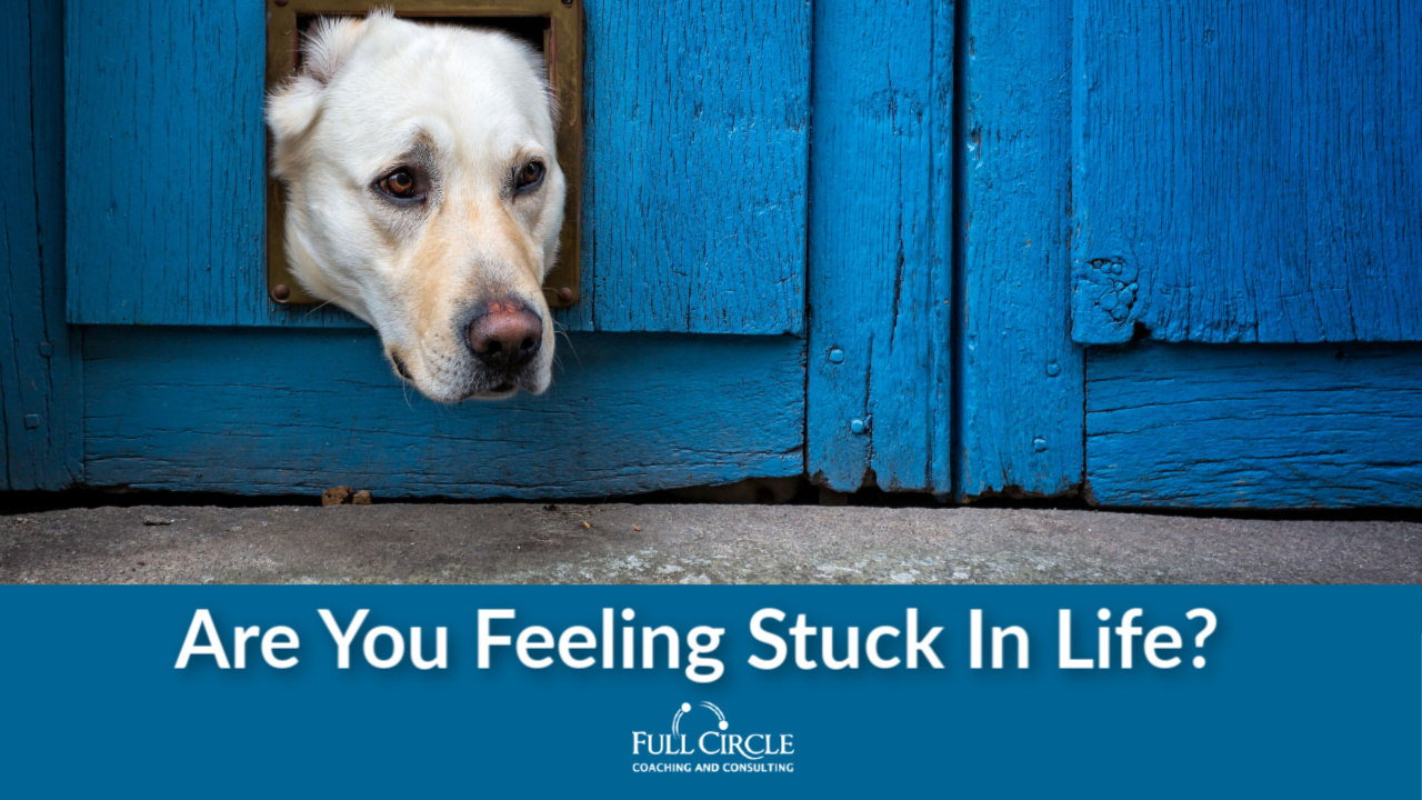 Frazer – Are you feeling stuck