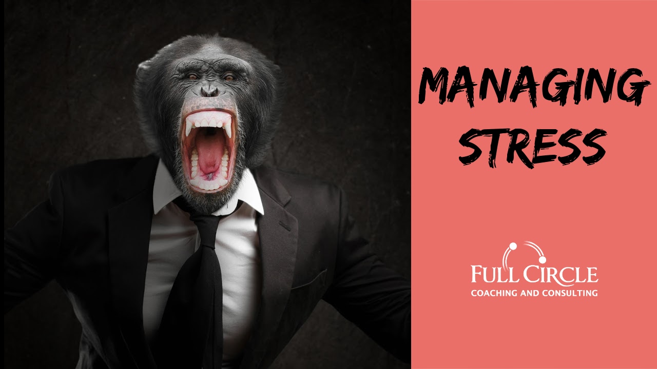 Frazer-manage stress-1