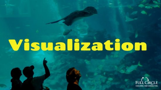 Jay Sea World March 26, 2021