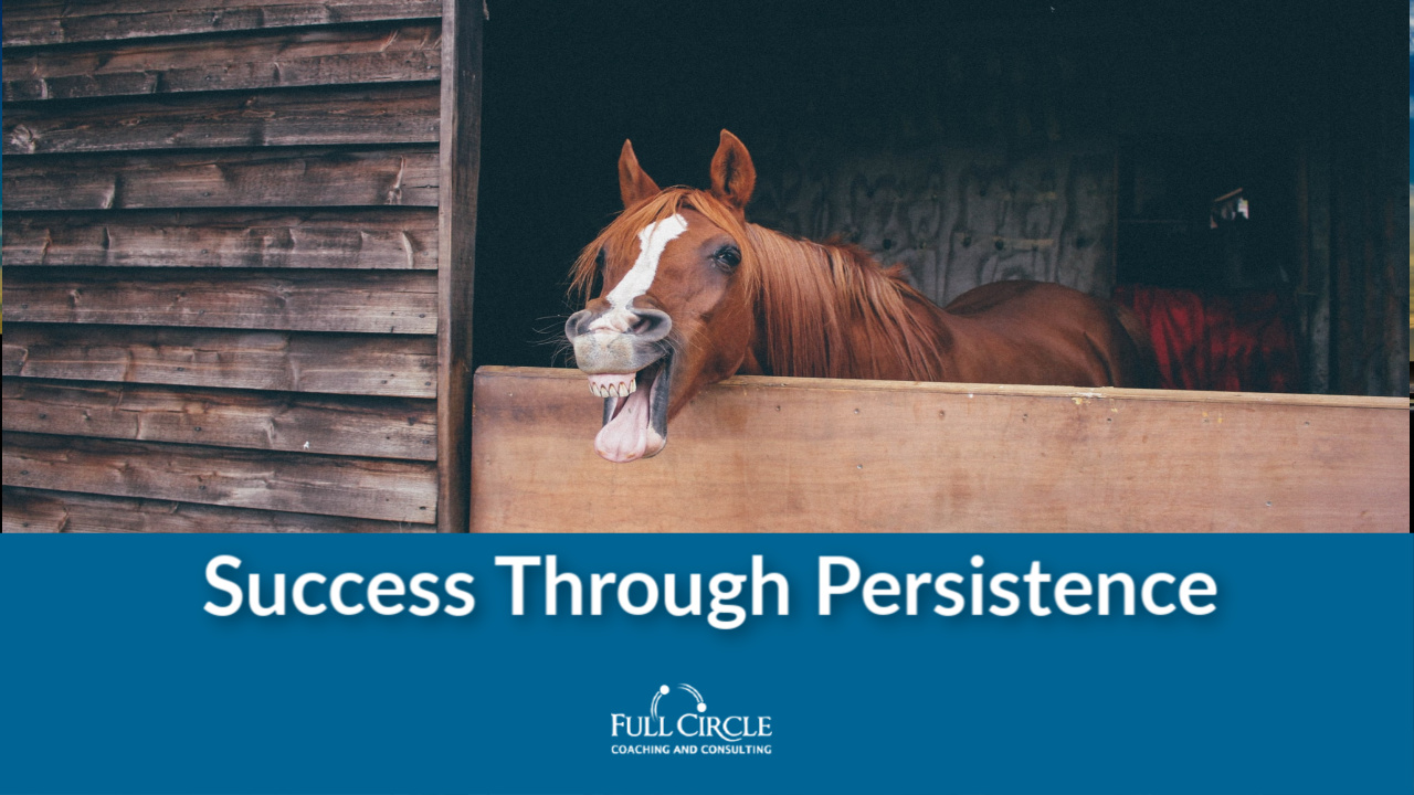 Success Through Persistance