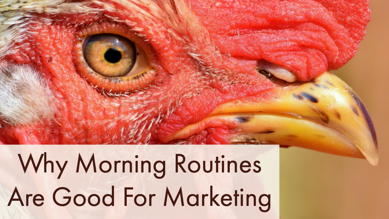 Why Morning Routines Are Good For Marketing